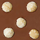 Macadamia Nuts