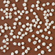 Rice Crispies