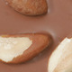 Brazil Nut