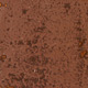 Cinnamon