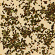 Organic Mint Leaves