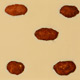 Roasted Peanuts