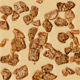 Fig Bits