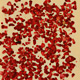 Raspberries