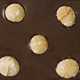 Macadamia Nuts