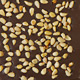 Pine Nuts