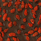 Goji Berries