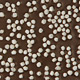 Rice Crispies