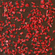 Raspberries