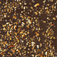 Hazelnut Brittle