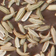 Fennel