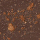 Cinnamon