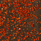 Ground Chili